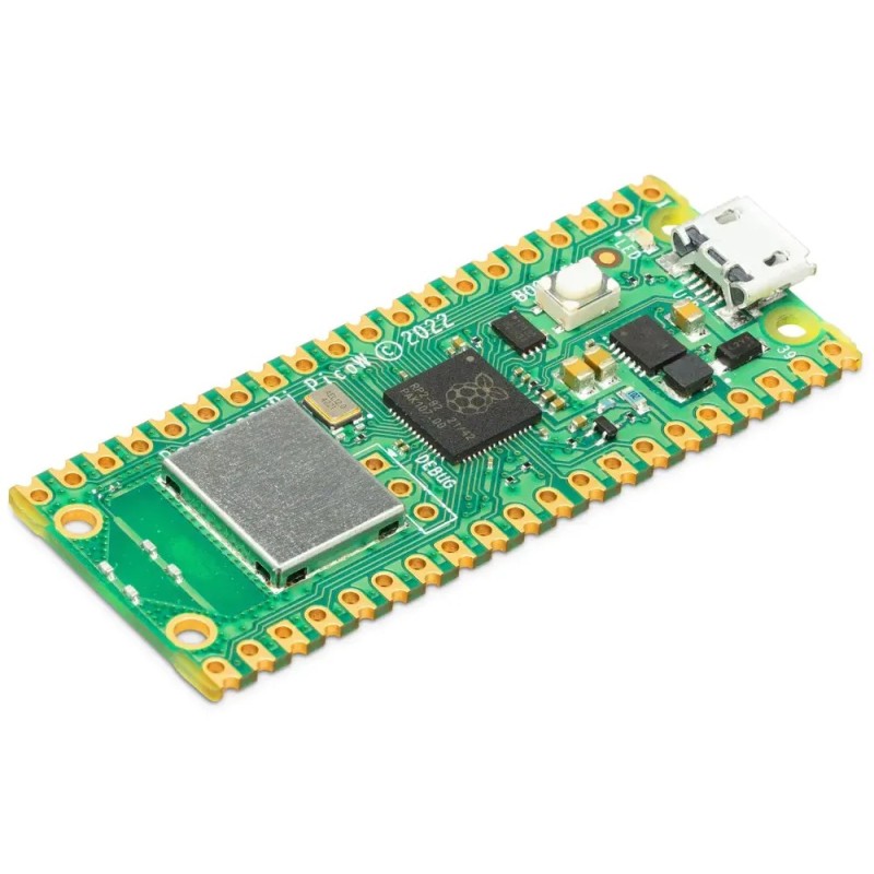 Raspberry Pi Pico W Raspberry Pi Pico W
