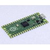 Raspberry Pi Pico